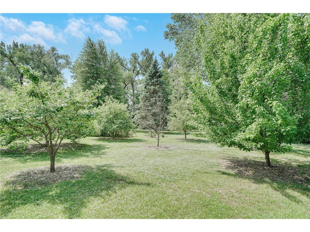 900 James Street Lino Lakes MN 55014 7086346 image46