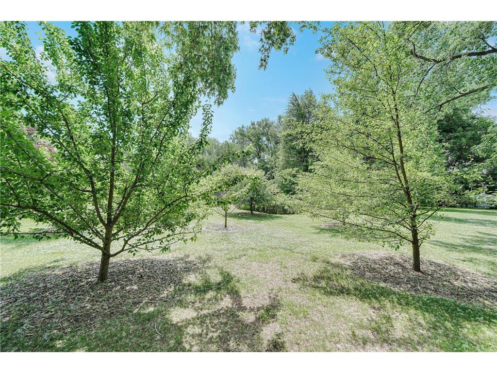 900 James Street Lino Lakes MN 55014 7086346 image47