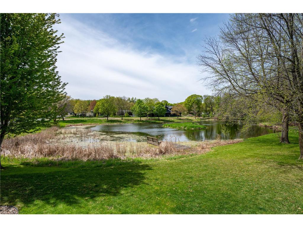 900 Lexington Avenue N New Prague MN 56071 7067985 image47