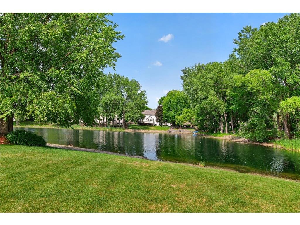 9000 Ashley Terrace Brooklyn Park MN 55443 7090613 image3