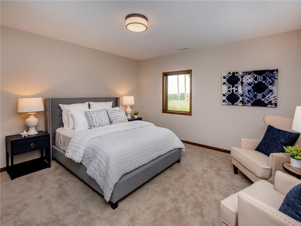 9001 62nd Street S Cottage Grove MN 55016 6695560 image23