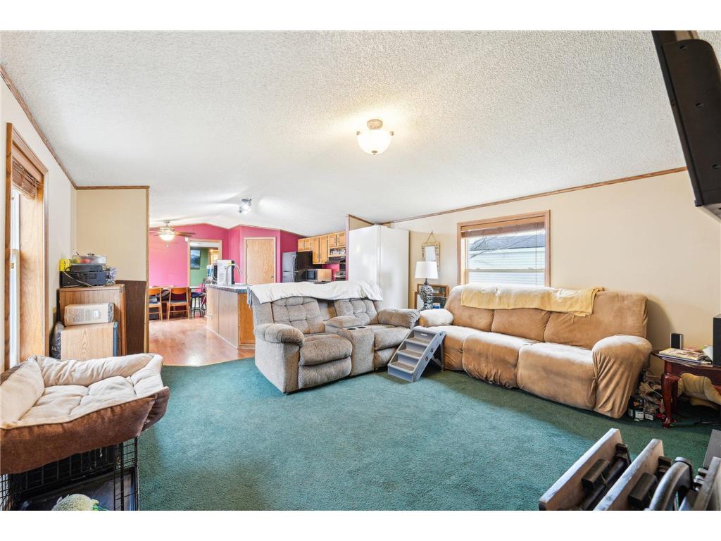 9004 Birchview Lane NE Ham Lake MN 55304 6627952 image1