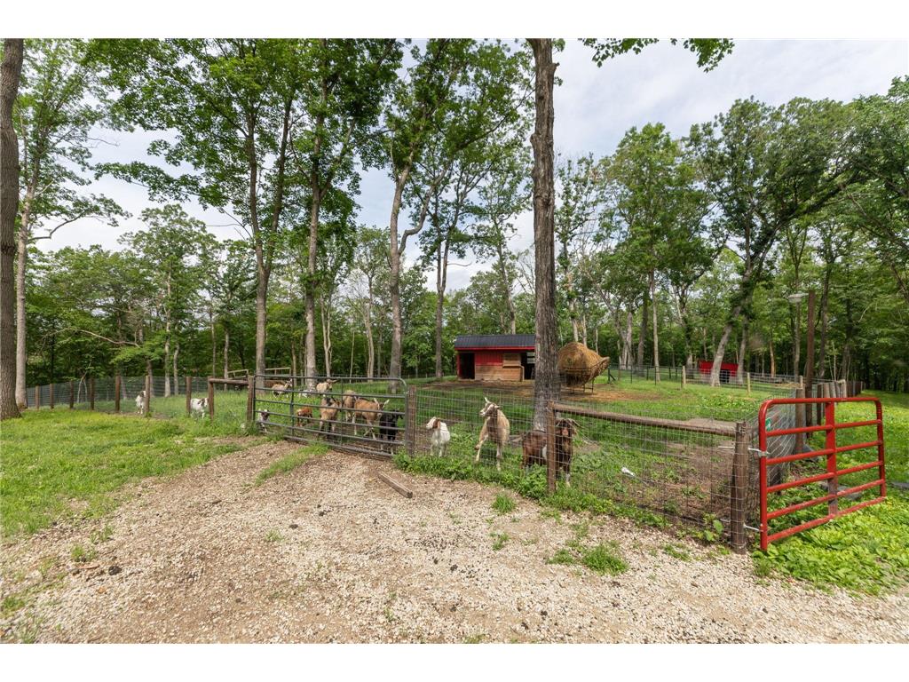 9005 80th Avenue SE Orion Twp MN 55923 7029437 image40