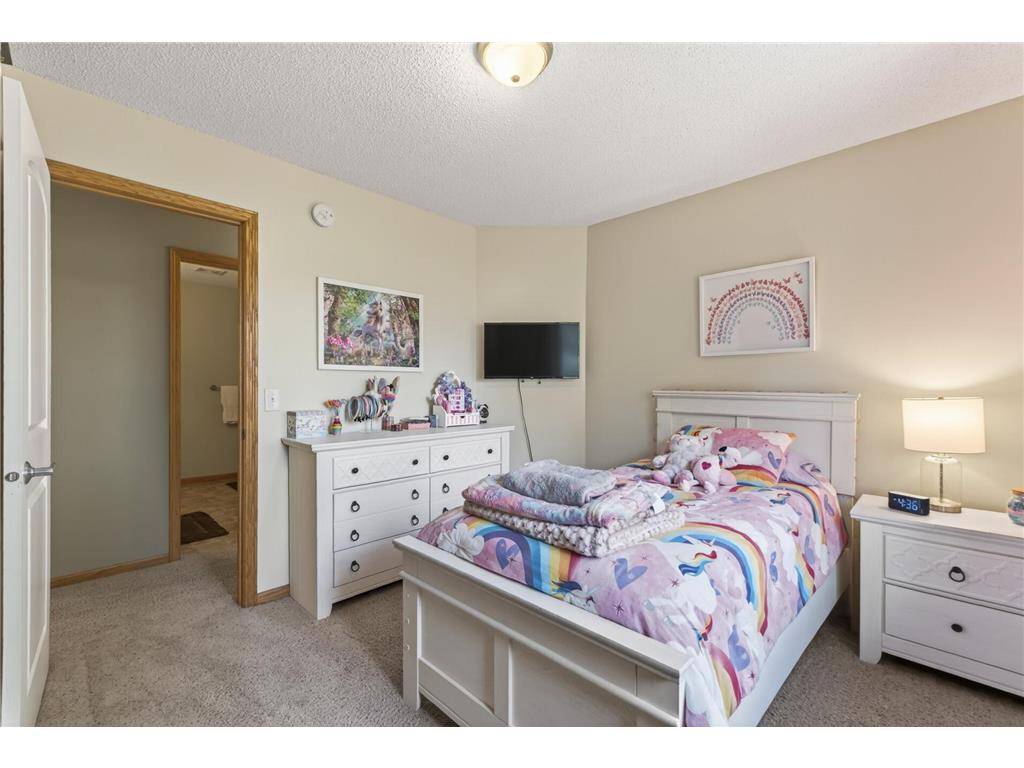 9007 Cheyanne Circle Waverly MN 55390 - Carrigan 7079485 image20