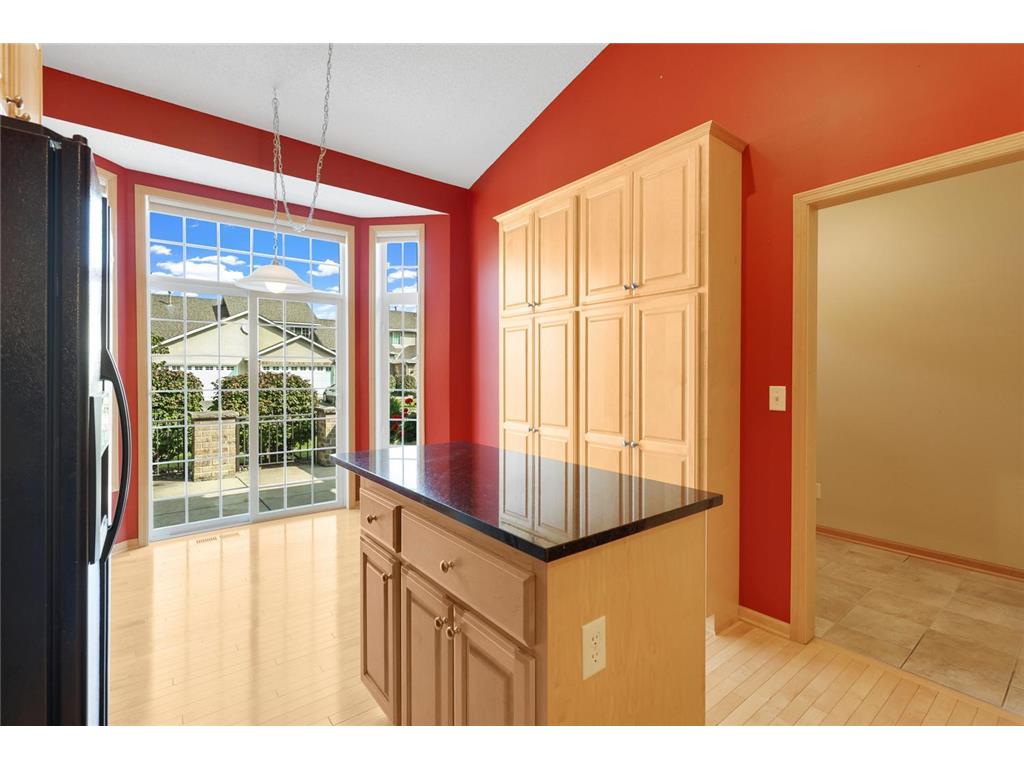 9007 Meadow Place Savage MN 55378 6810939 image17