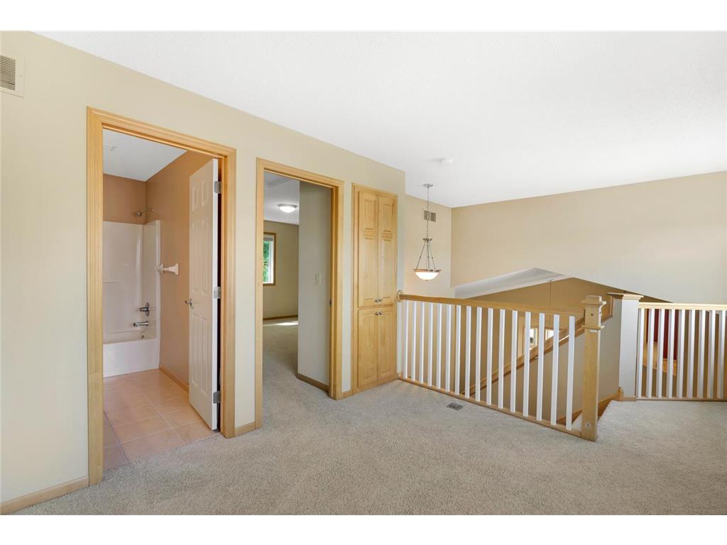 9007 Meadow Place Savage MN 55378 6810939 image28