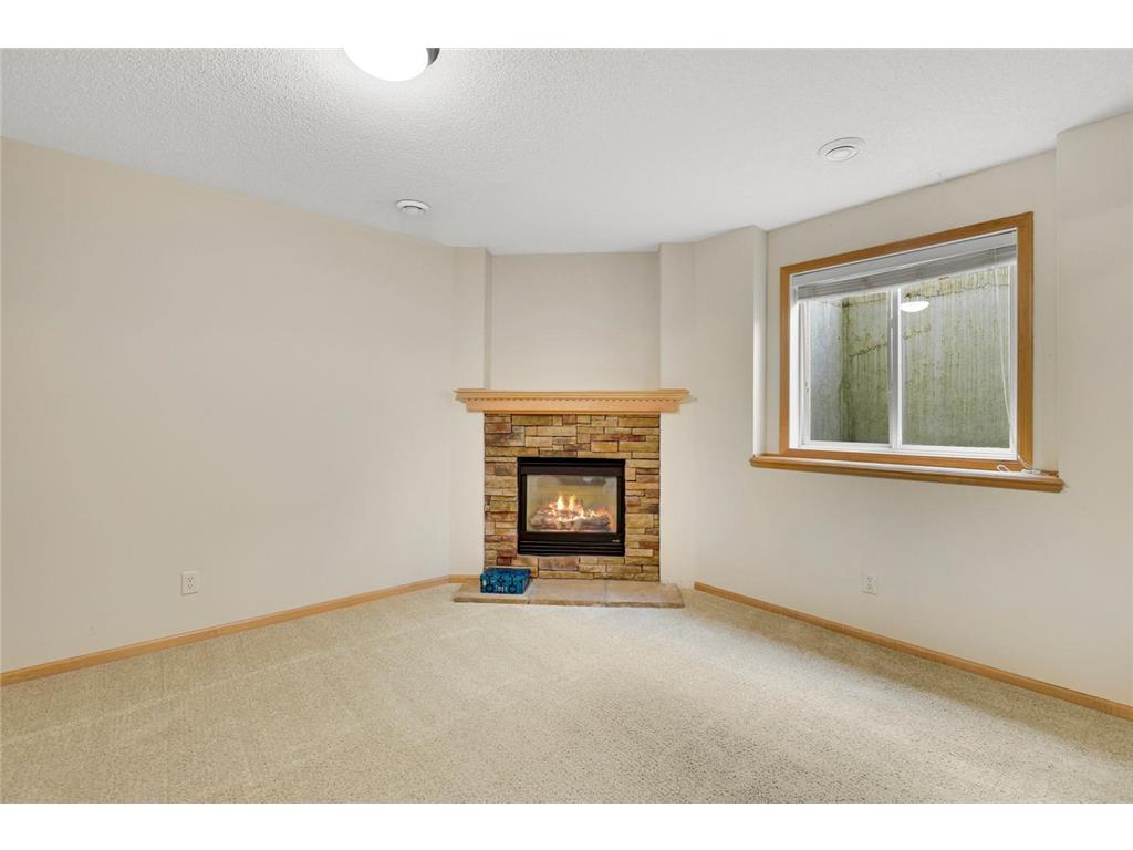 9007 Meadow Place Savage MN 55378 6810939 image33