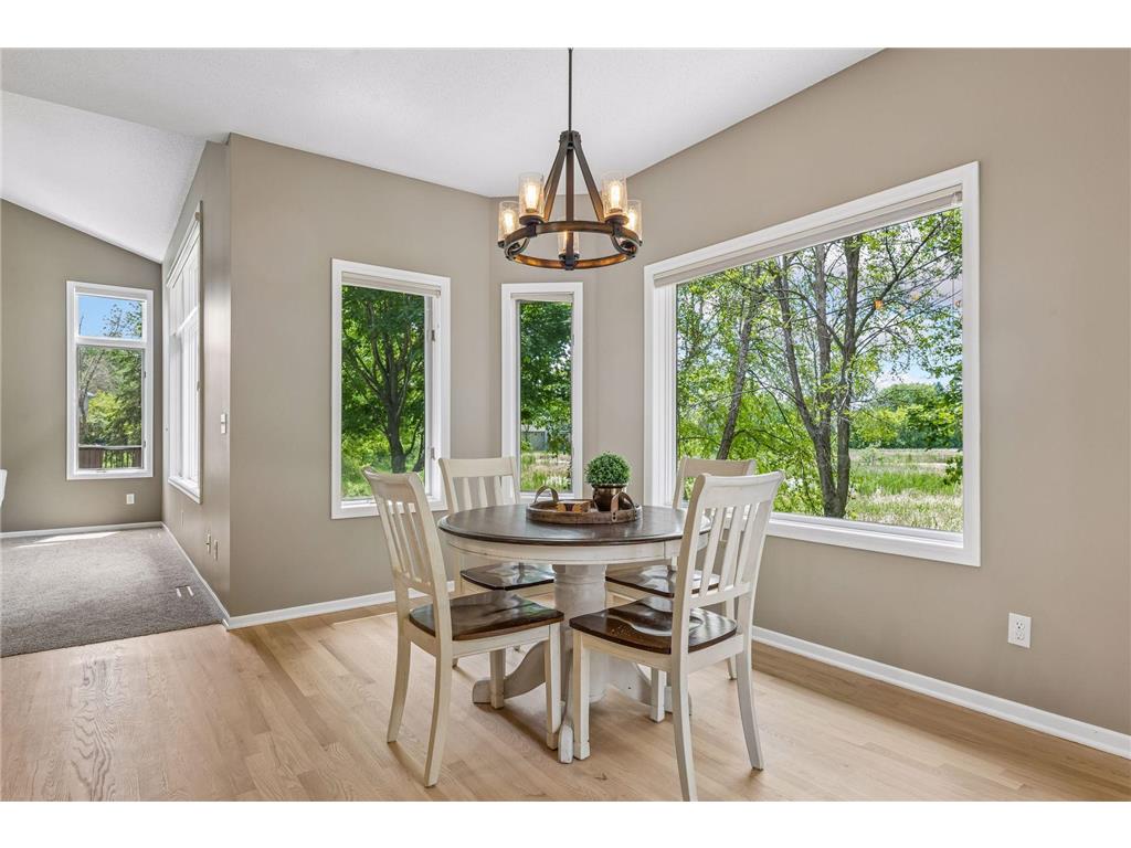 9009 Zanzibar Lane N Maple Grove MN 55311 7081332 image21
