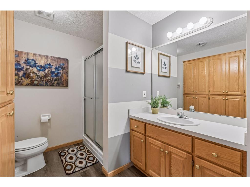 9009 Zanzibar Lane N Maple Grove MN 55311 7081332 image48