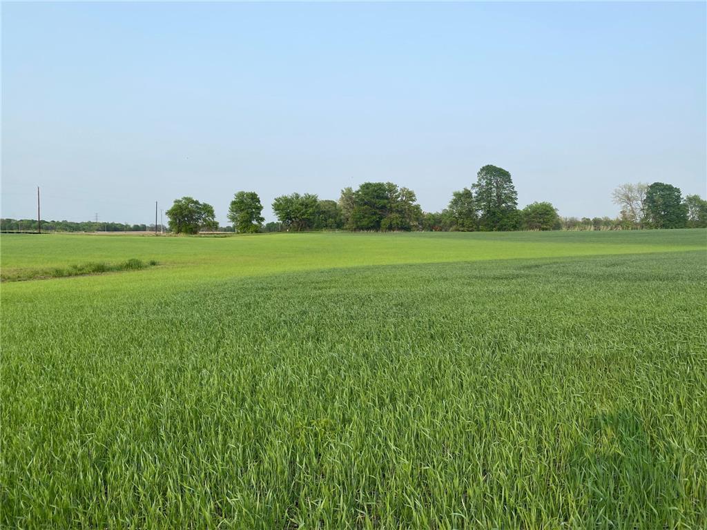 9010 Grace Lane N Greenfield MN 55357 6345194 image1