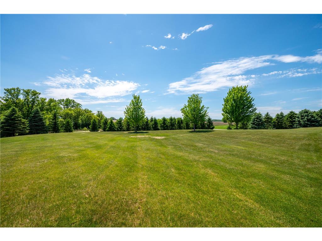 9015 Schutte Court Corcoran MN 55340 7080267 image43