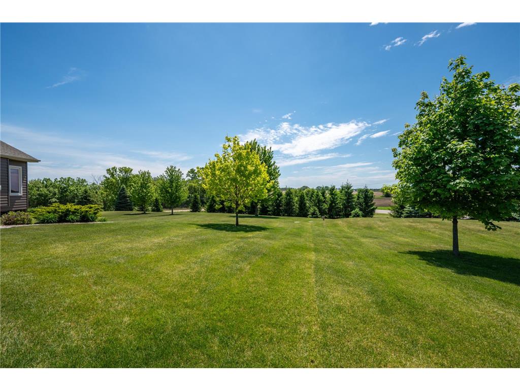 9015 Schutte Court Corcoran MN 55340 7080267 image6