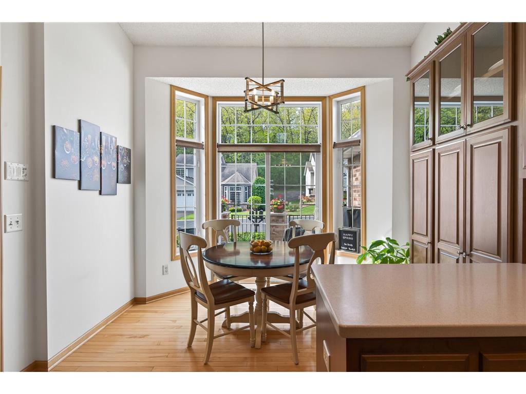 9016 Meadow Place Savage MN 55378 7063505 image10