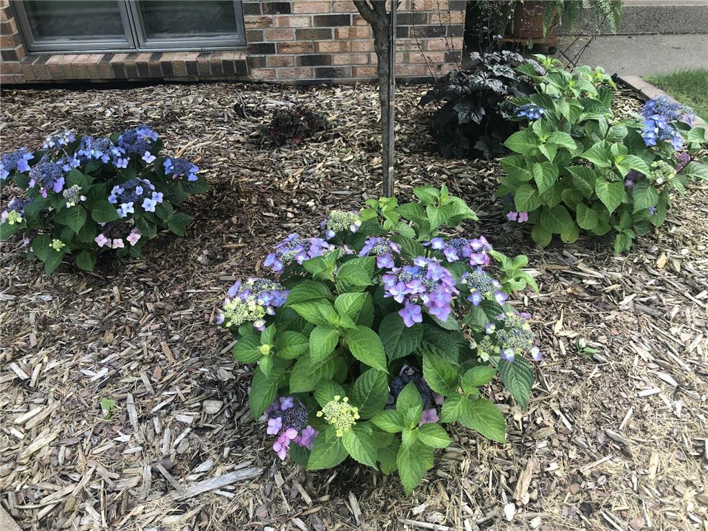 902 10th Street S Benson MN 56215 7040946 image26