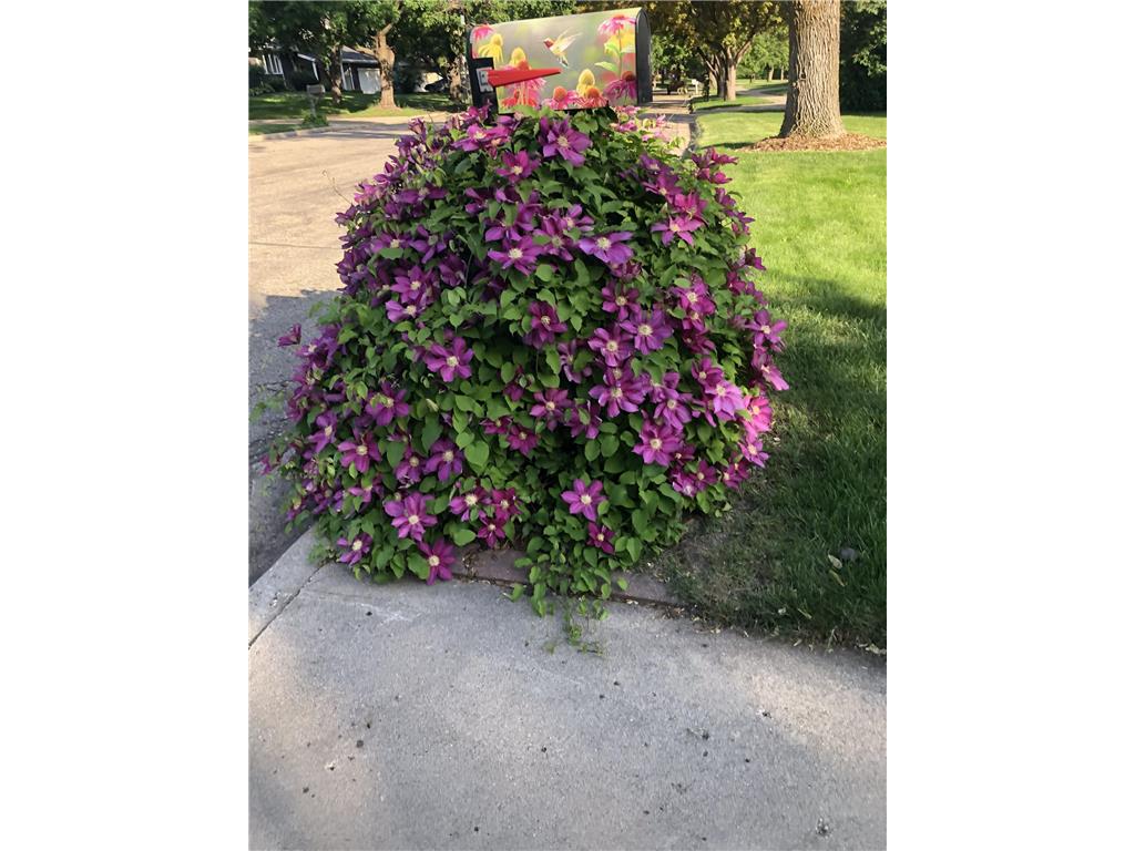 902 10th Street S Benson MN 56215 7040946 image32