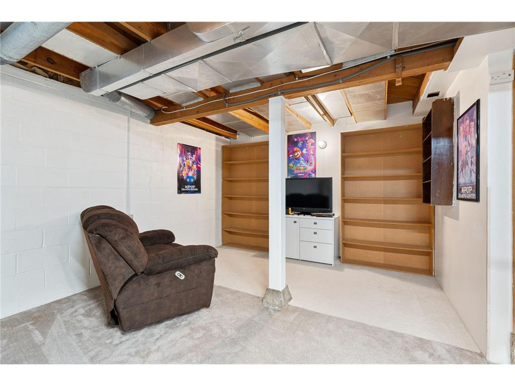 902 11th Avenue SW Austin MN 55912 7083366 image33