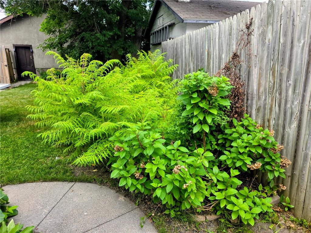 902 7th Street International Falls MN 56649 7103861 image21