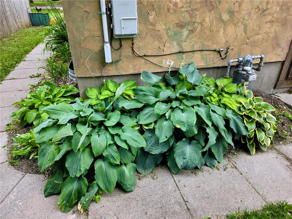 902 7th Street International Falls MN 56649 7103861 image22