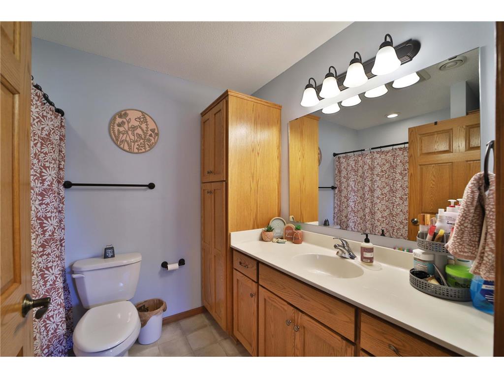 902 Meadow Lark Lane Long Prairie MN 56347 6806995 image23