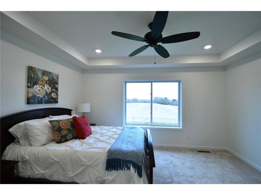 903 7th Avenue Wanamingo MN 55983 6779794 image18