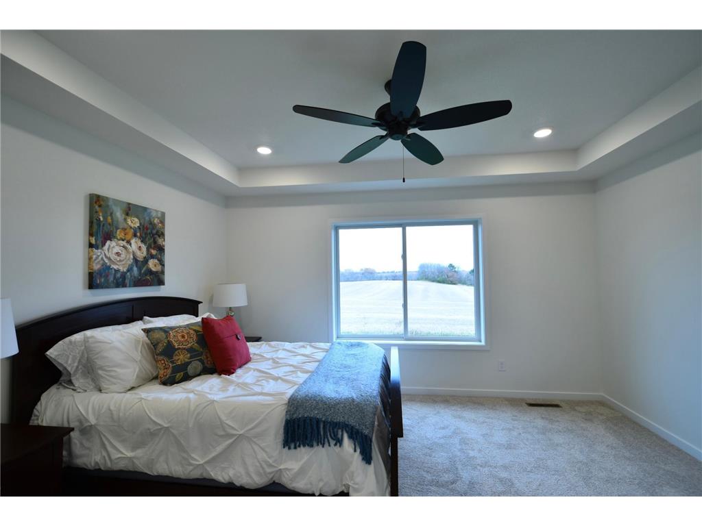 903 7th Avenue Wanamingo MN 55983 6779794 image19