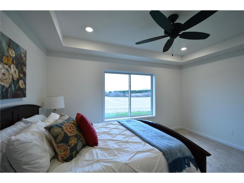 903 7th Avenue Wanamingo MN 55983 6779794 image20