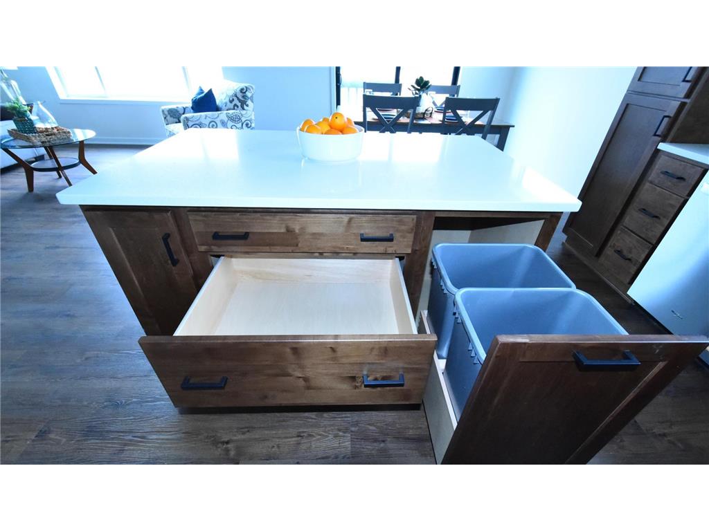 903 7th Avenue Wanamingo MN 55983 6779794 image45