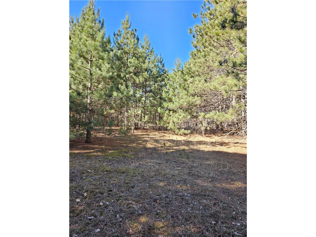 903 Scott Drive Bashaw Twp WI 54801 6499455 image1