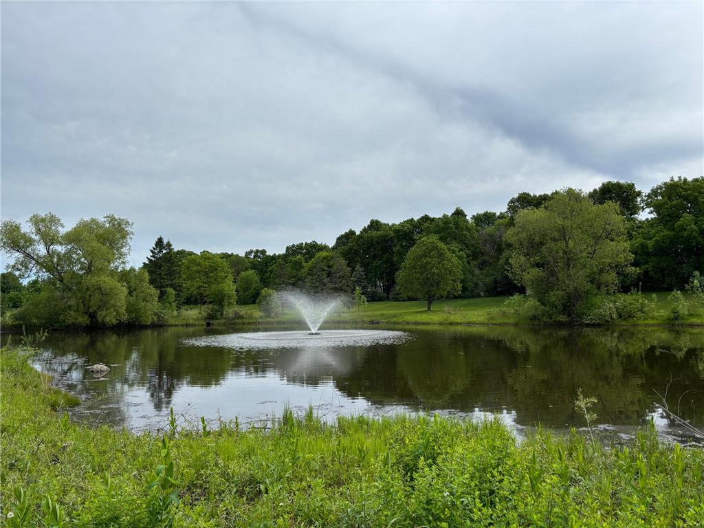 9039 Vickors Crossing Brooklyn Park MN 55443 7083091 image37