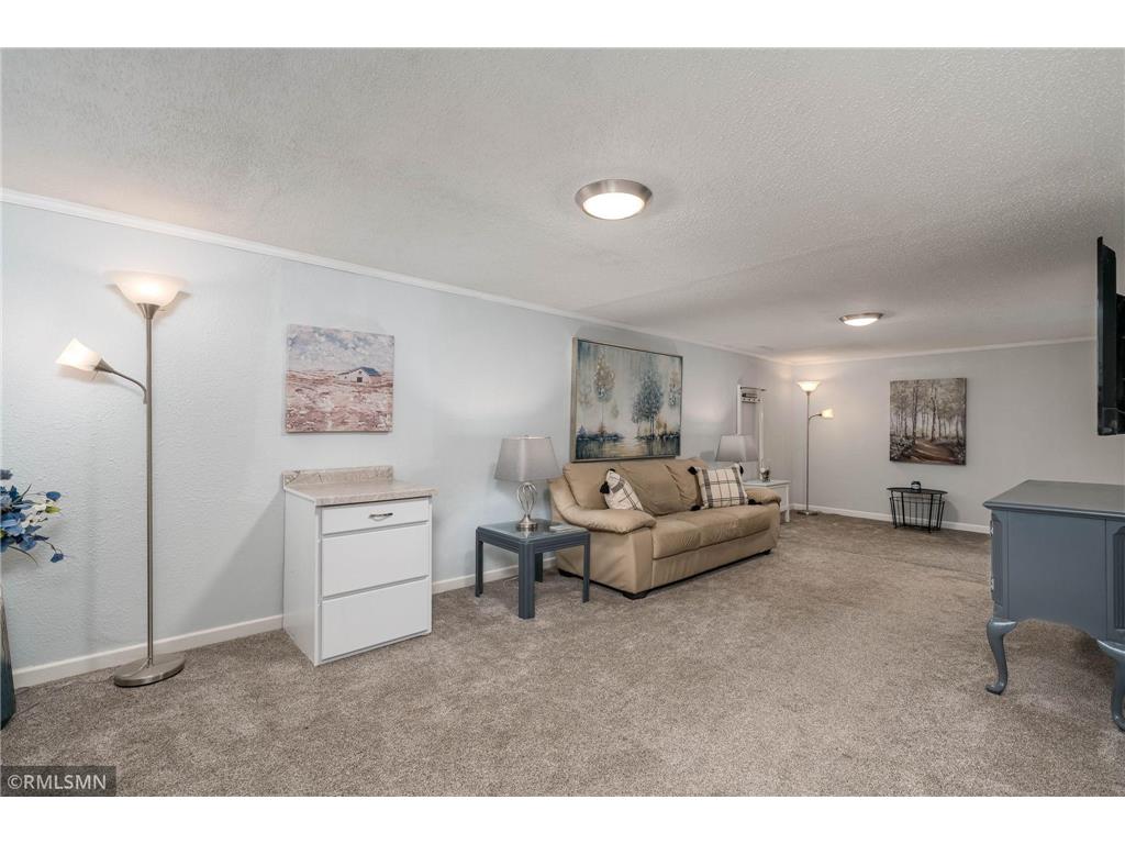904 Mayvis Boulevard Mankato MN 56001 7087355 image22