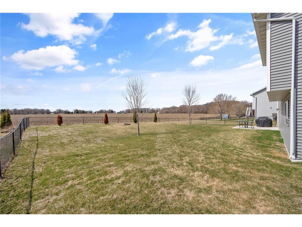 904 Palm Circle Annandale MN 55302 7033120 image16