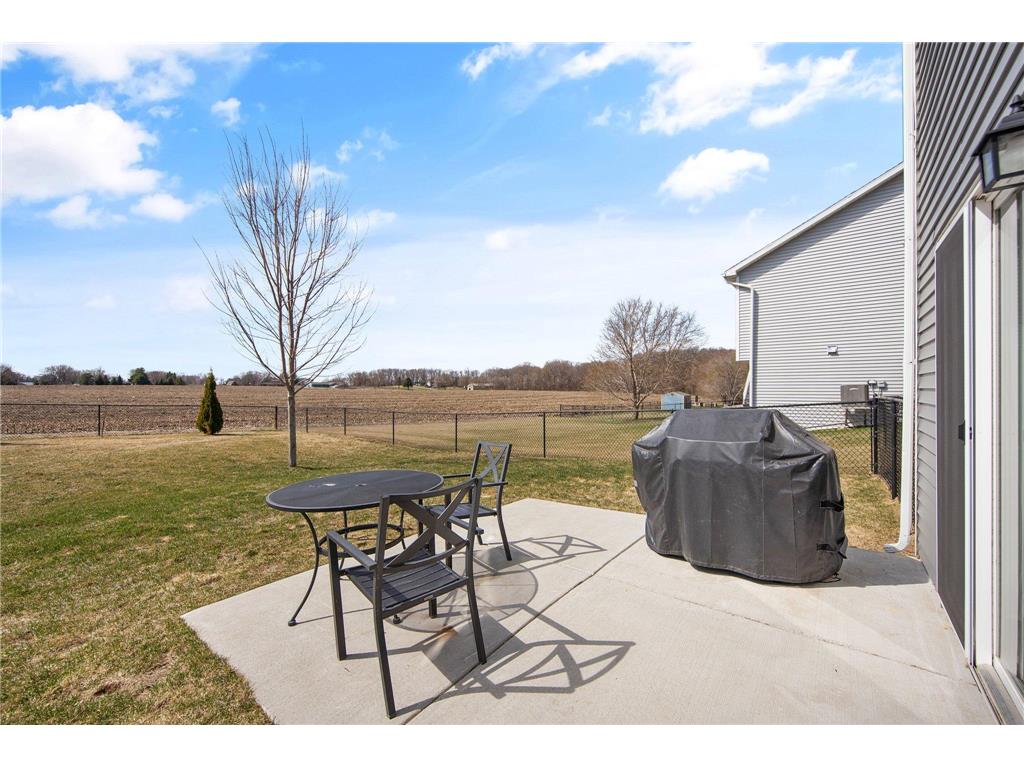 904 Palm Circle Annandale MN 55302 7033120 image18