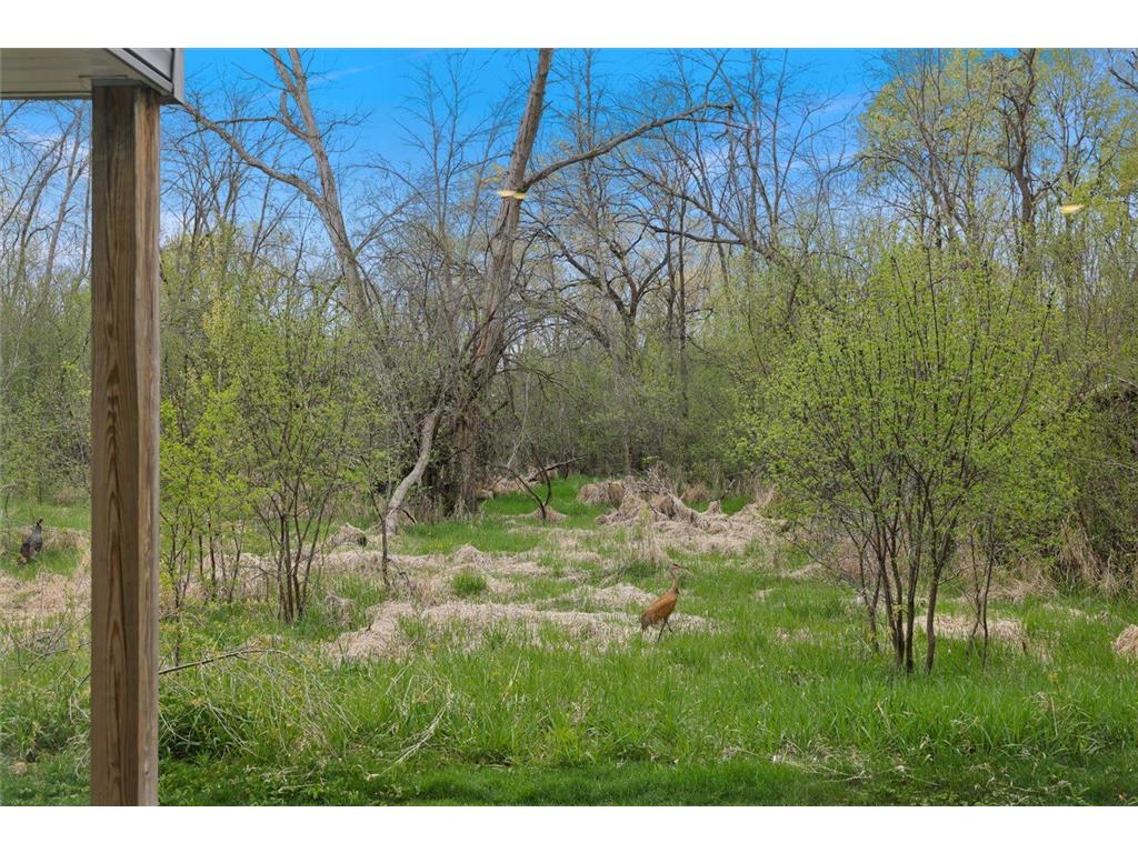 904 Saddle Club Court Lino Lakes MN 55014 7068581 image38