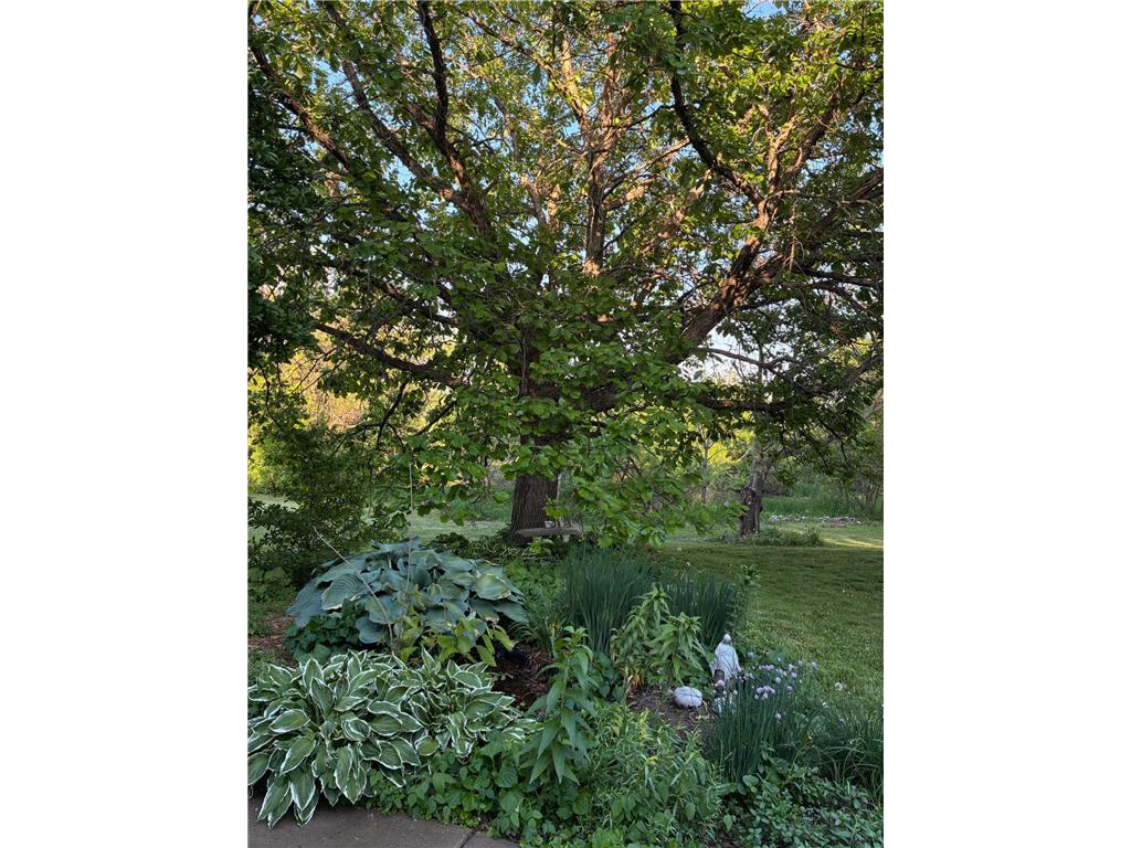 9040 152nd Street N Hugo MN 55038 7073376 image51