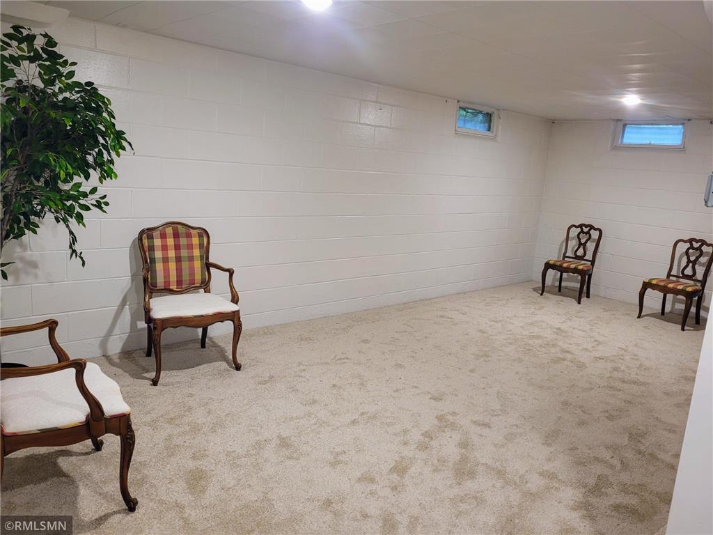 905 Carver Street N Winthrop MN 55396 6747682 image27