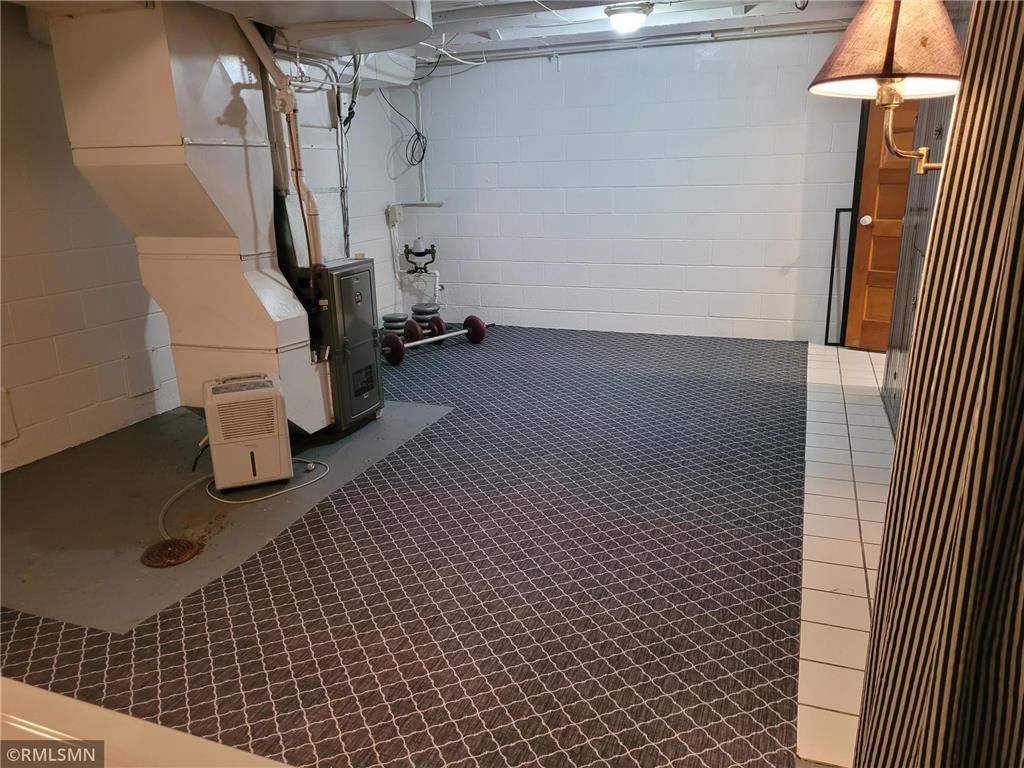 905 Carver Street N Winthrop MN 55396 6747682 image30