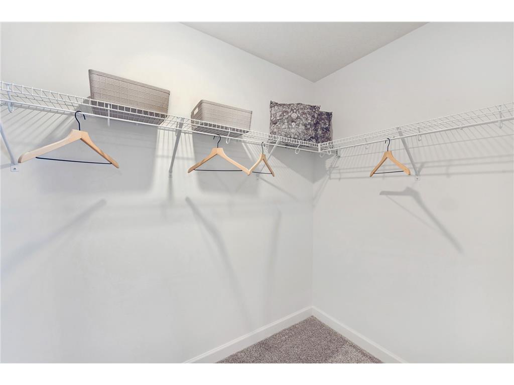 905 Harvest Trail Buffalo MN 55313 6801659 image11