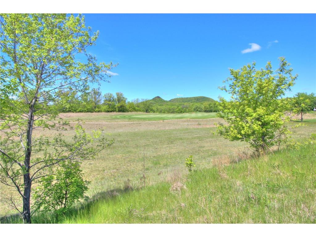 905 Hidden Meadow Lane Lake City MN 55041 6204245 image1