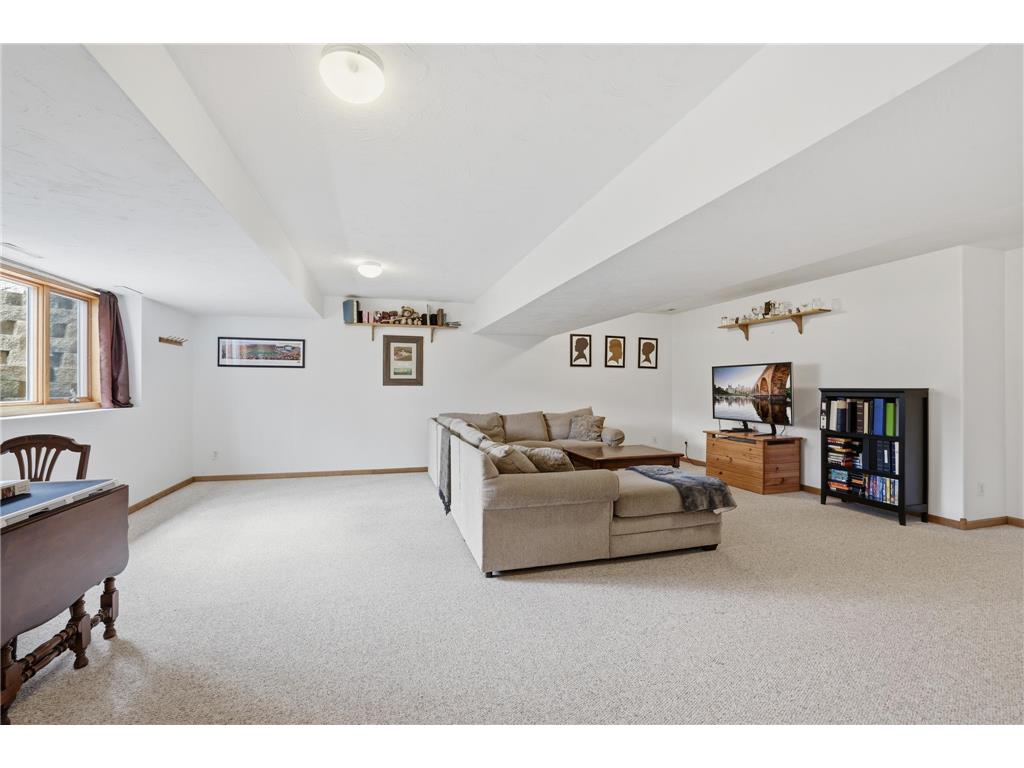 905 Horizon Circle Belle Plaine MN 56011 7053608 image28