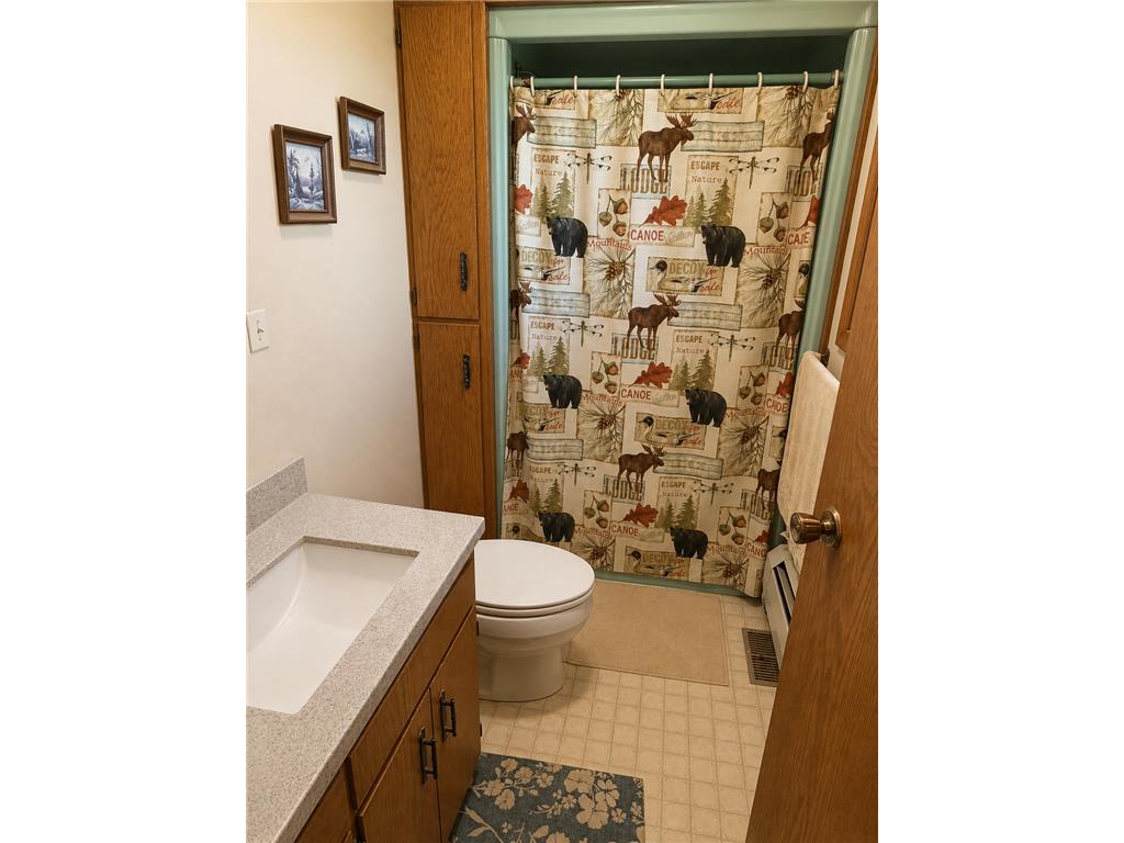 905 Main Street N Renville MN 56284 7083956 image16