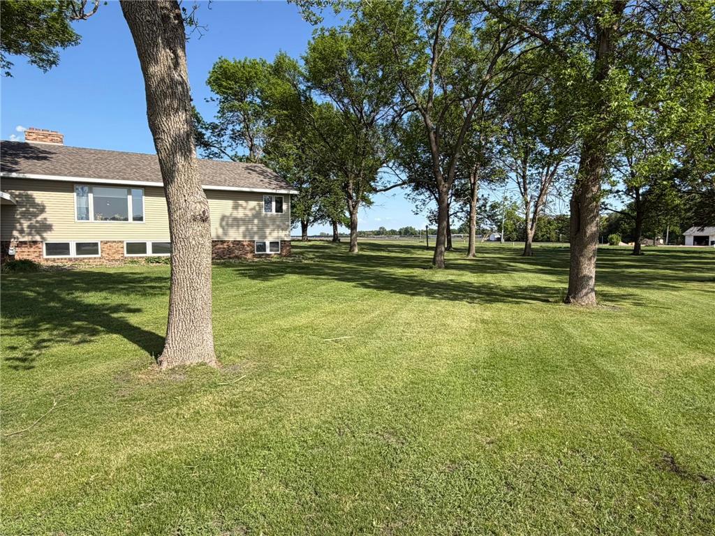 905 Main Street N Renville MN 56284 7083956 image3