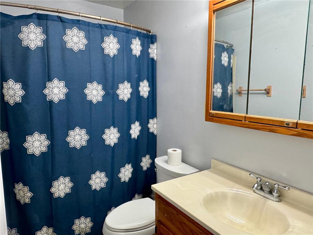 905 W Chestnut Avenue Olivia MN 56277 7056823 image13