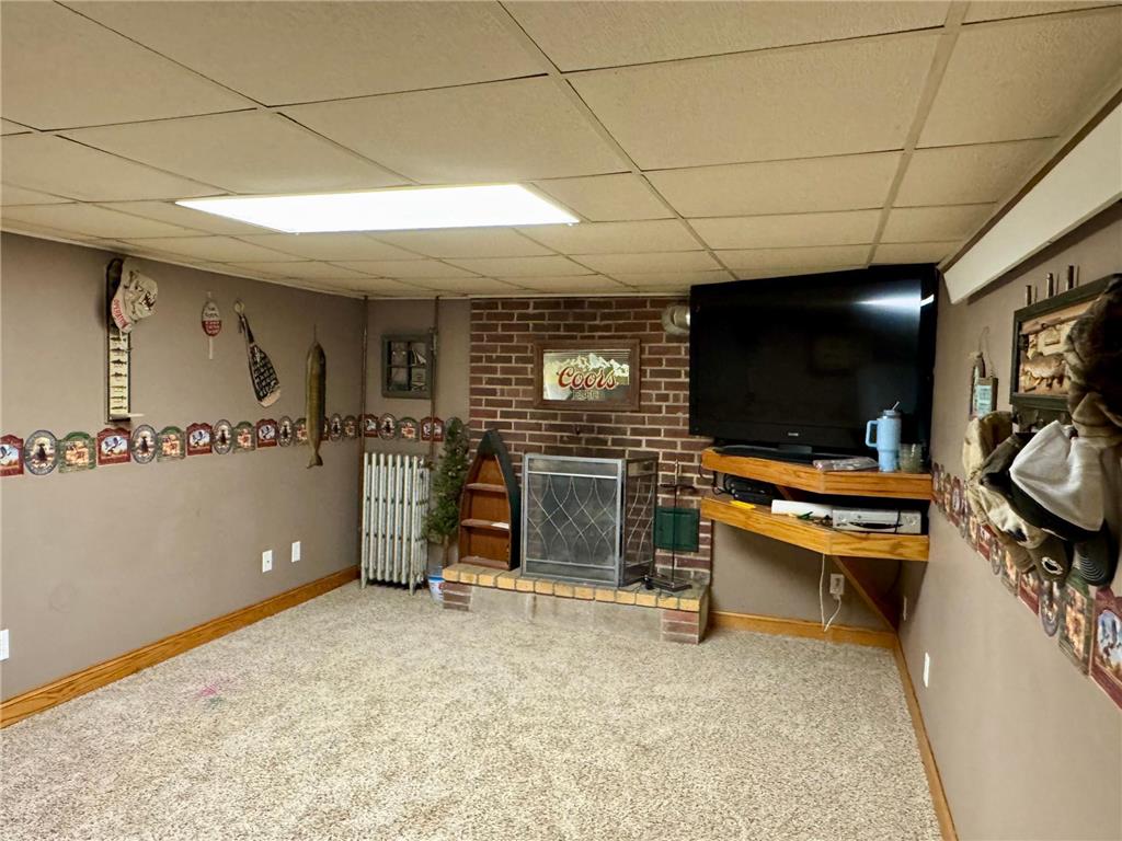 905 W Chestnut Avenue Olivia MN 56277 7056823 image14