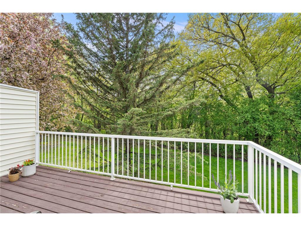 9052 Terra Verde Trail Eden Prairie MN 55347 - Staring 7064101 image6