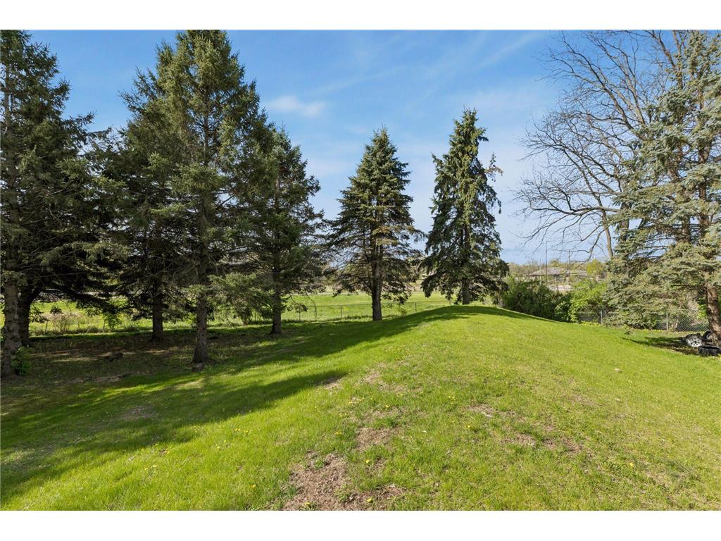 9055 Jamaca Court N Lake Elmo MN 55042 7068026 image3