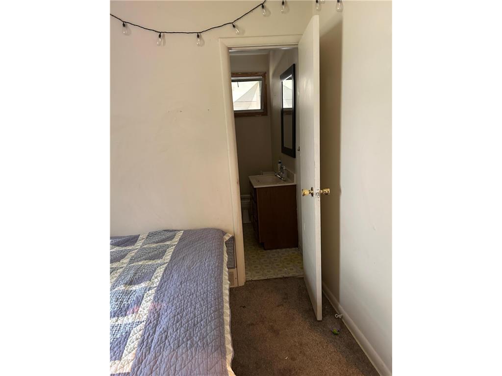 906 Irvine Avenue NW Bemidji MN 56601 6705329 image19