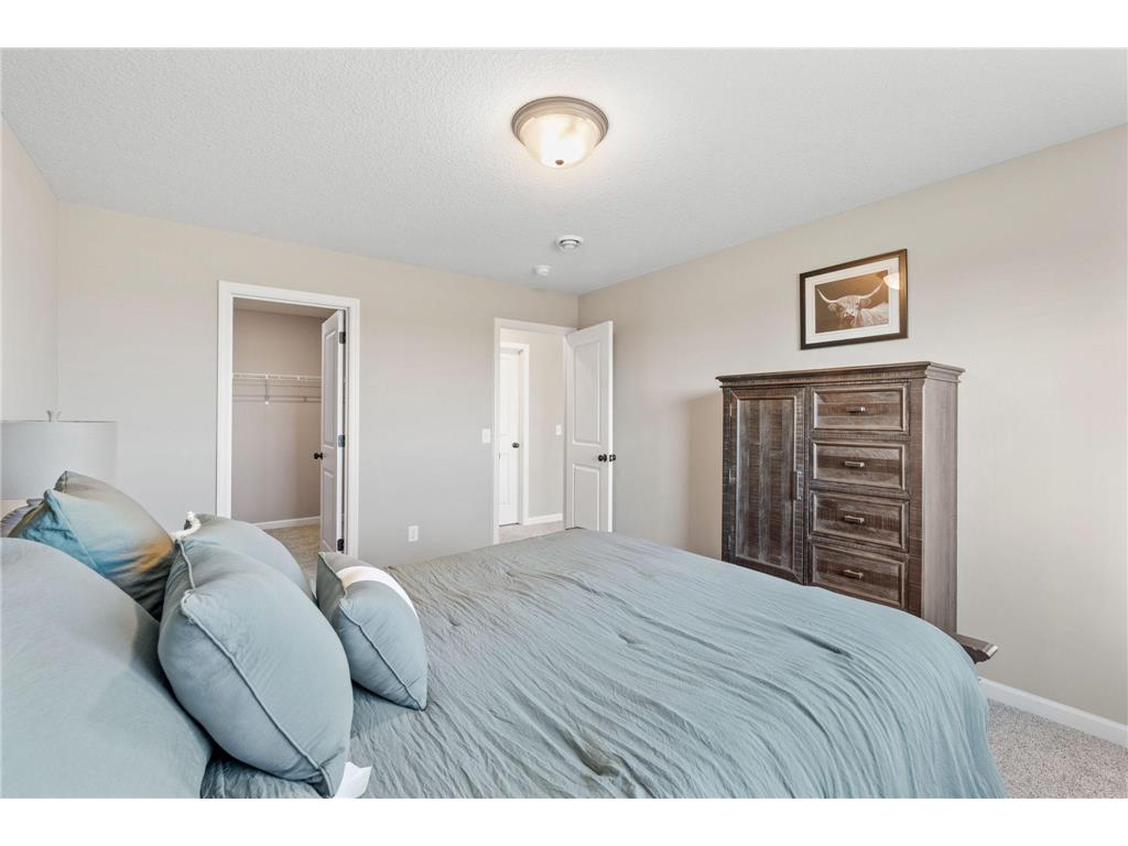906 Pine Vale Avenue Somerset WI 54025 7089982 image28