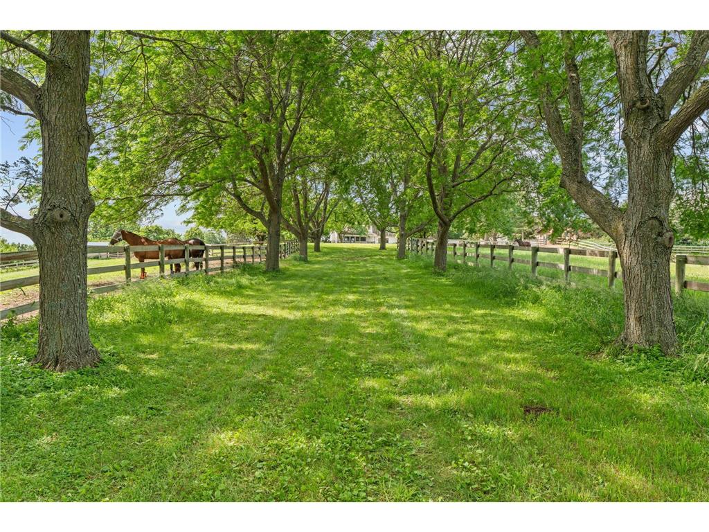 9060 County Road 26 Minnetrista MN 55359 - Ox Yoke 7081831 image29