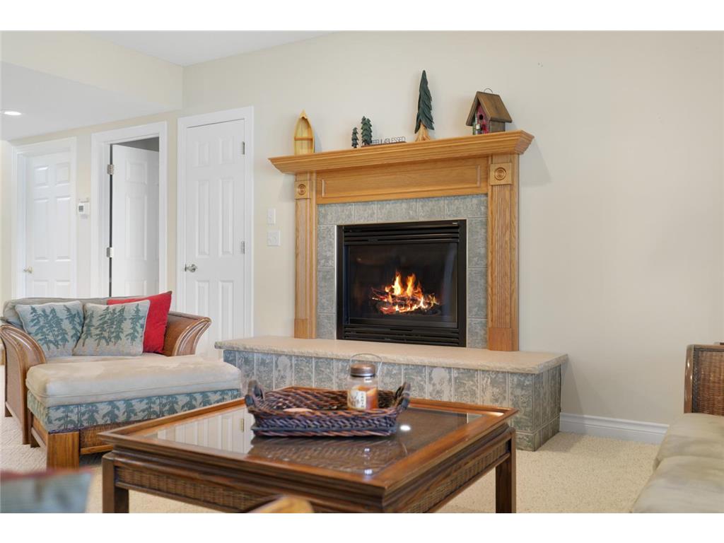 9062 100th Avenue SE Clear Lake MN 55319 - Camp Lake 7047930 image42