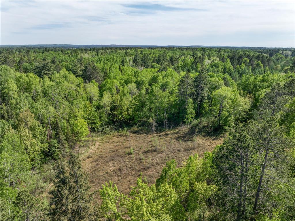 9064 Peppard Road Britt MN 55710 - Auto 7089605 image12
